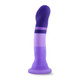 Avant D2 Purple Rain Multi-Color Dildo by Blush Novelties - view 4