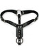 Anal Plug Harness with Erection Ring Black by Kinklab