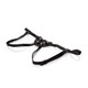 Her Royal Harness Countess Black O/S Boxed by Cal Exotics - view 4