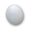 953 Pearl White