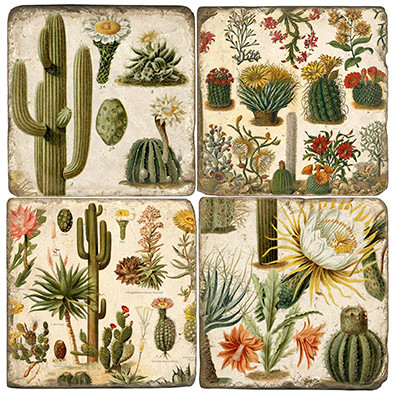 Bohemian Cactus Coaster Set. Handmade Marble Giftware by Studio Vertu.