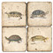 Turtle Coaters Set. Handcrafted Marble Giftware by Studio Vertu.