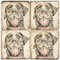 Illustrated Animal Coaster Set. Licensed artwork by Cards for Canines. Handcrafted Marble Giftware by Studio Vertu.