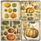 Pumpkins Coaster Set. Handmade Marble Giftware by Studio Vertu.