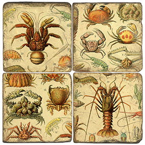 Crustacean Coaster Set. License artwork by Anderson Design Group. Handcrafted Marble Giftware by Studio Vertu.