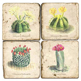 Cactus Coaster Set. Handmade Marble Giftware by Studio Vertu.