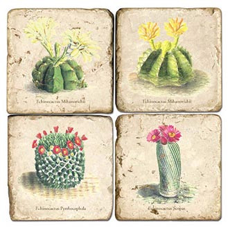 Cactus Coaster Set. Handmade Marble Giftware by Studio Vertu.