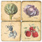 Vegetable Coaster Set. Handmade Marble Giftware by Studio Vertu.