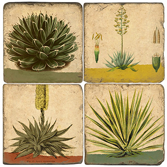 Agave Coaster Set. Handmade Marble Giftware by Studio Vertu.