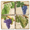 Botanical Grapes coaster set. Handcrafted Marble Giftware by Studio Vertu.