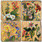 Floral Coaster Set.  Hand Made Marble Giftware by Studio Vertu.