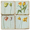 Floral Collage Coaster Set. Handcrafted Marble Giftware by Studio Vertu.