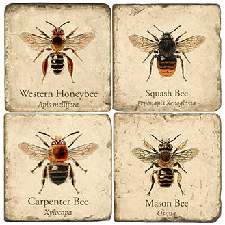 Vintage Bees Coaster Set