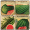 Watermelon Seed Packets Coaster Set.  Tumbled Marble Giftware by Studio Vertu.