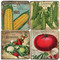 Mixed Garden Vegetable Coaster Set.  Tumbled Marble Giftware by Studio Vertu.
