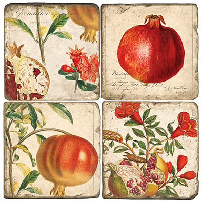 Botanical Pomegranate Coaster Set. Handcrafted Marble Giftware by Studio Vertu.