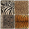 Animal Print Coaster Set