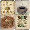Egg & Nest Coaster Set. Handmade Marble Giftware by Studio Vertu.