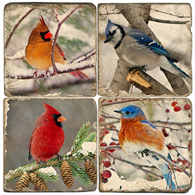 Winter Birds Coaster Set