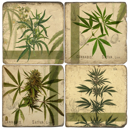 Cannabis Coaster Set