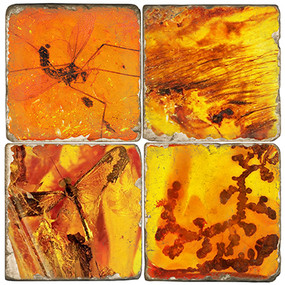 Amber Coaster Set Printed on Italian Marble