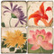 Colorful Floral Coaster Set