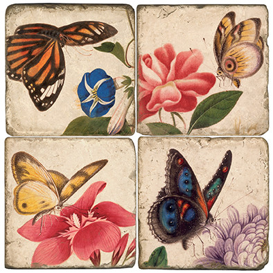 Colorful Butterfly Coaster Set