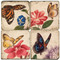 Colorful Butterfly Coaster Set