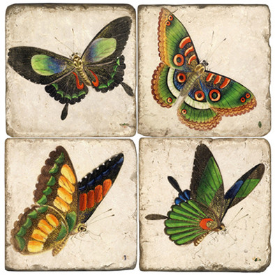 Colorful Butterfly Coaster Set