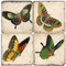 Colorful Butterfly Coaster Set