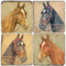 Horse head coaster set