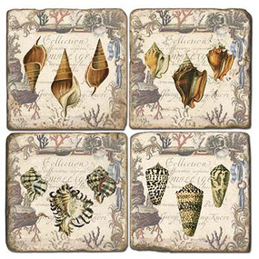 Collection of Shells Coaster Set
