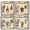 Collection of Shells Coaster Set