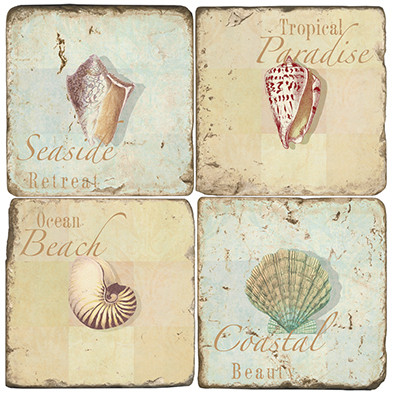 Seashell Coaster Set