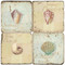 Seashell Coaster Set