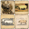 Heirloom Pigs Coaster Set