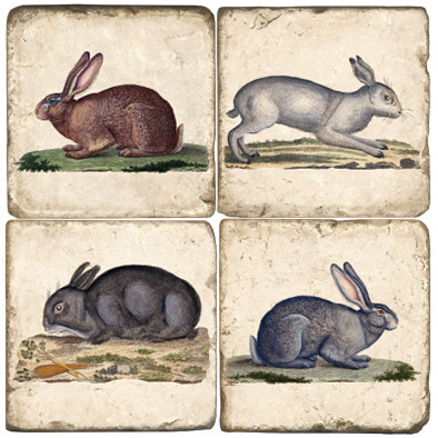Rabbit Coaster Set