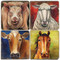 Sticks Farm Animal Coaster Set