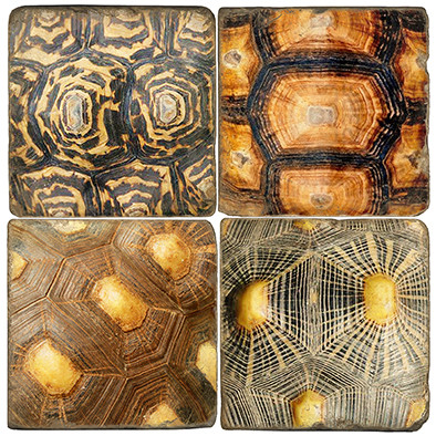 Tortoise Shell Pattern Coaster Set. Handcrafted Marble Giftware by Studio Vertu.