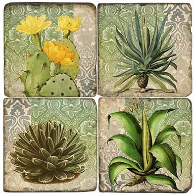 Succulents Coaster Set