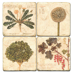 Weeds Coaster Set