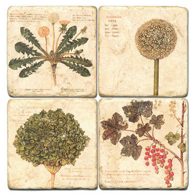 Weeds Coaster Set