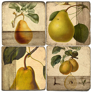 Pear Botanical Coaster Set