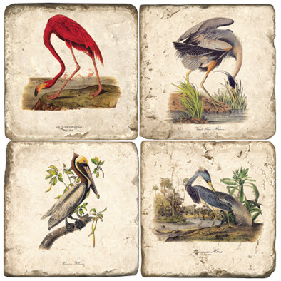 Audubon Birds Coaster Set