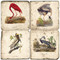 Audubon Birds Coaster Set