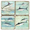 Saltwater Fish Coaster Set