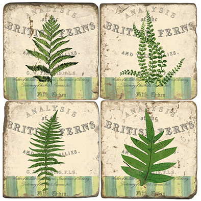 Fern Coaster Set