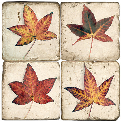 Fall Leaves Coaster Set
