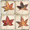 Fall Leaves Coaster Set