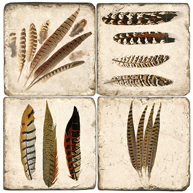 Pheasant Feathers Coaster Set.  Tumbled Italian Marble Giftware by Studio Vertu.